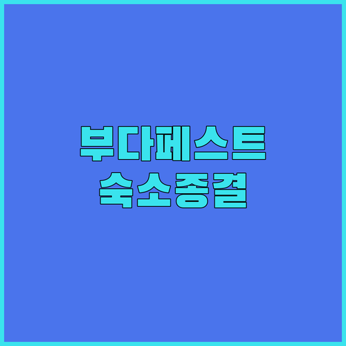 부다페스트 자유여행 숙소 선택 가이드..