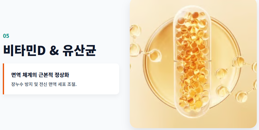 염증에 좋은 영양제