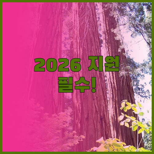 2026년 다문화가족 자녀 교육활동비..