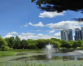 서울숲 공원 주차장1