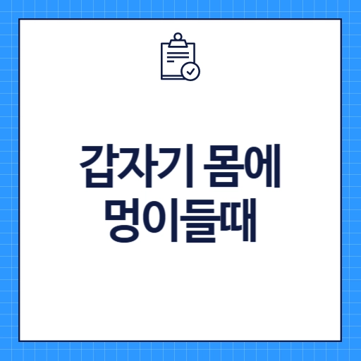 갑자기 몸에 멍이들때