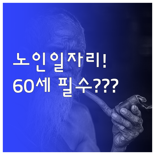 만 60세 이상 노인 취업알선형 공익..