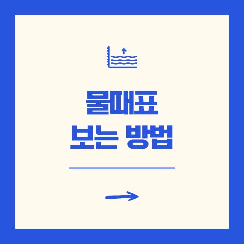 물때표 보는 방법(바다타임)