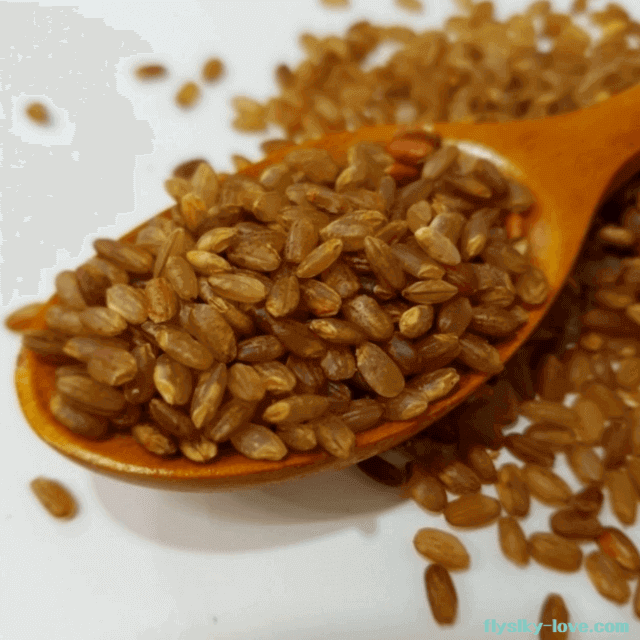 GABA 성분이 풍부한 가바현미