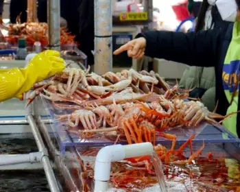 영덕 대게축제_7