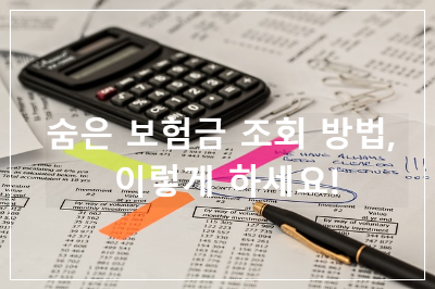 보험금조회