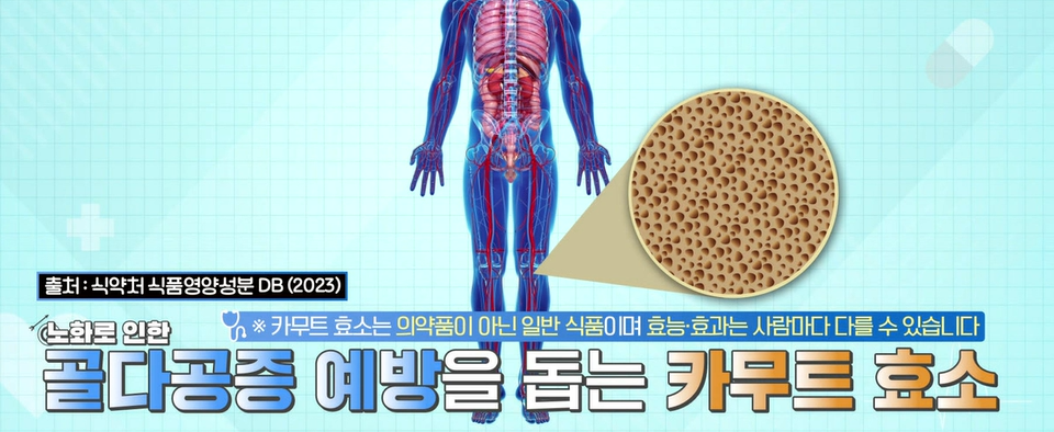 카무트 효소 효능