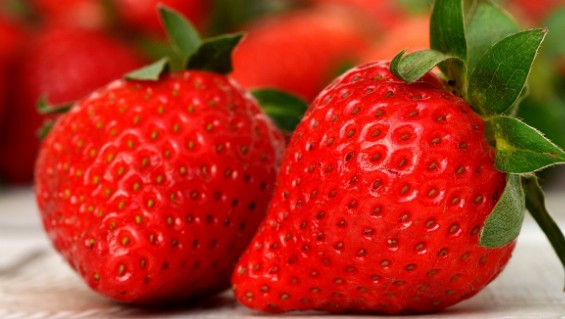 딸기 많이 먹으면 생기는 부작용, 딸기의 놀라운 효능, 하루 적정 섭취량, 좋은 딸기 고르는 법