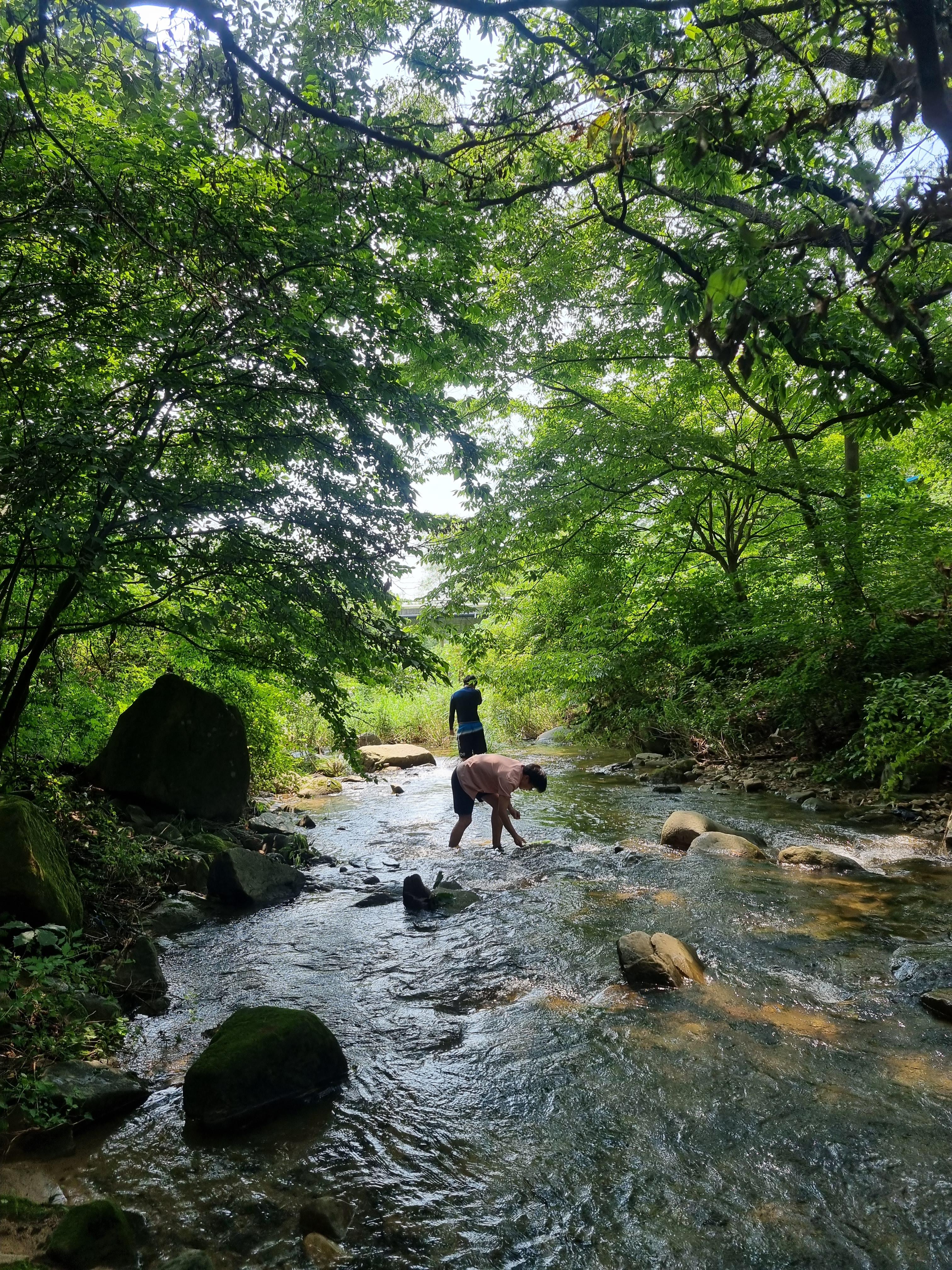 서산 계곡