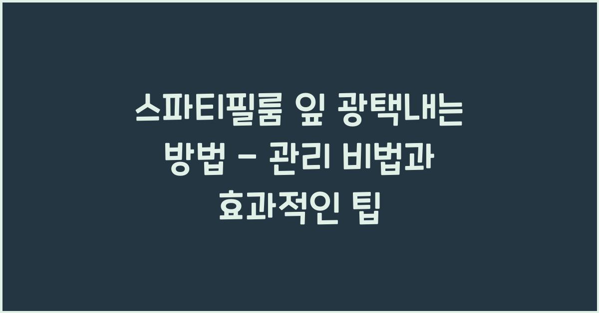 스파티필룸 잎 광택내는 방법