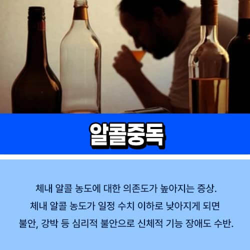 알콜중독상담