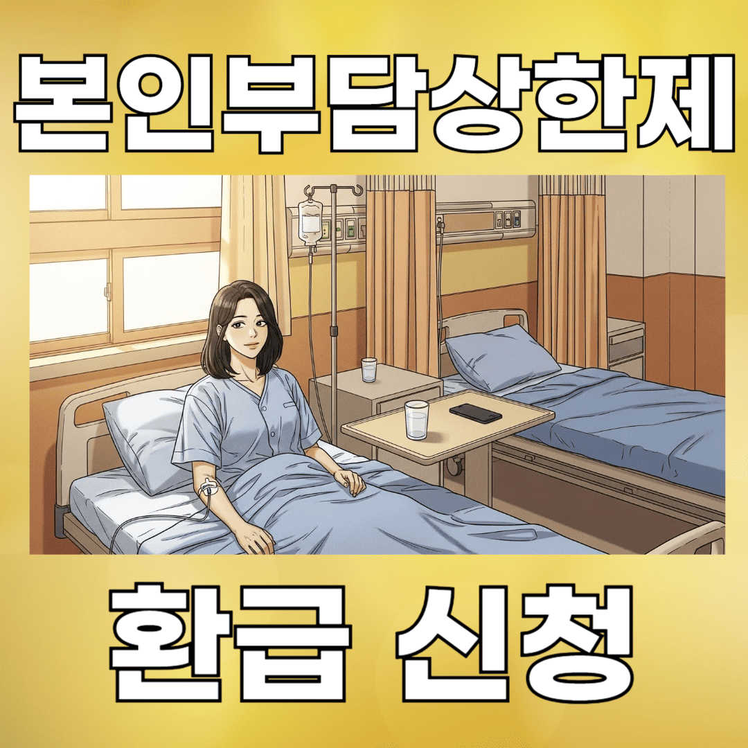 본인부담상한제 환급 신청