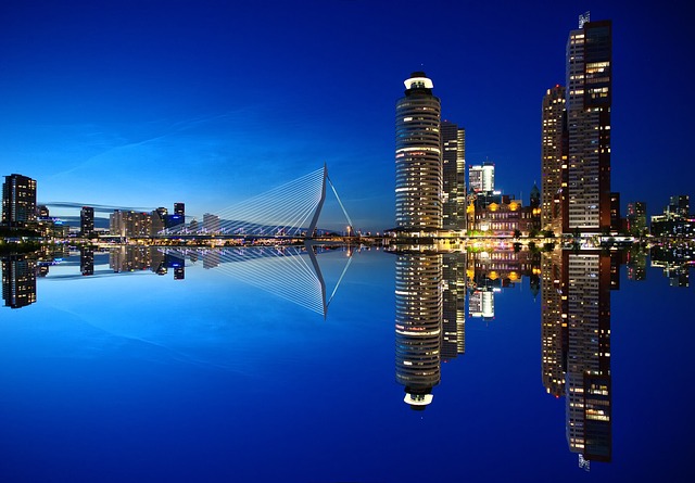 에라스무스 다리 관련 사진