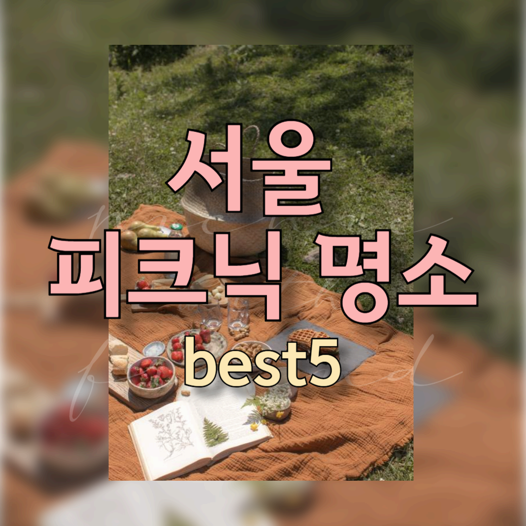 서울 피크닉 명소 Best 5, 덜 붐비고 조용한 감성 공원 총정리