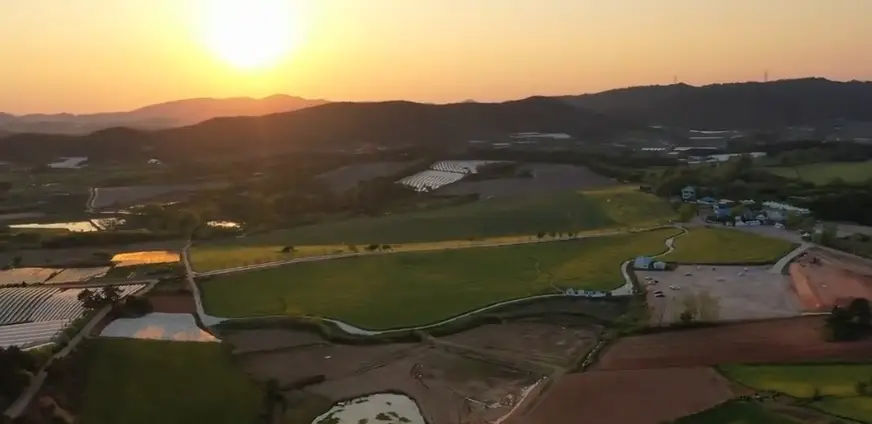 고창 청보리밭축제 주차장, 입장료, 프로그램