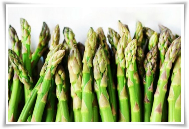 텃밭 "아스파라거스 기르기" 한 번 심으면 10년 동안 거두는 황금 채소!