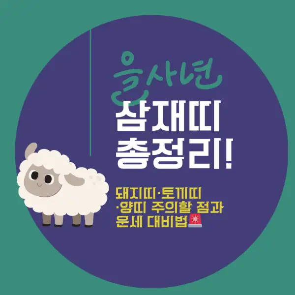 2025년 삼재띠 총정리!