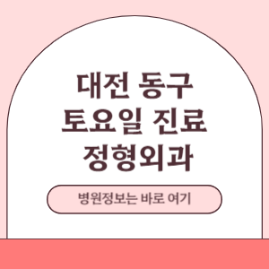 대전 동구 토요일 정형외과 진료 병원