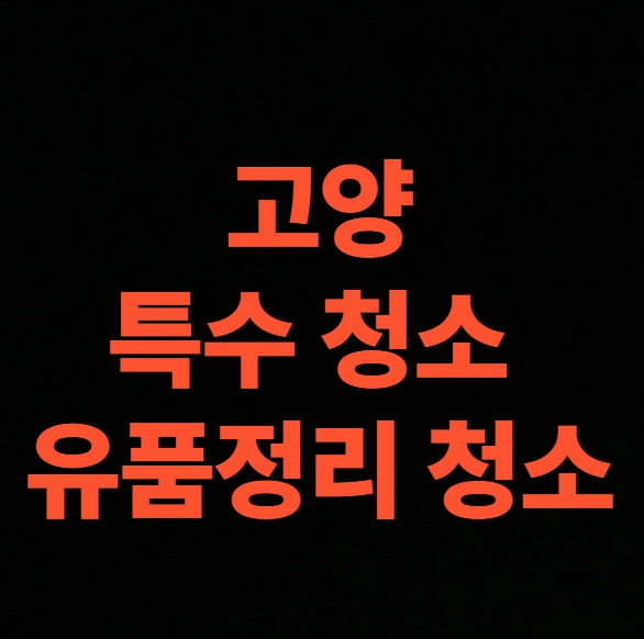 고양 일산 유품정리 업체 특수청소 비용 후기 (고양시 일산구 연락처)