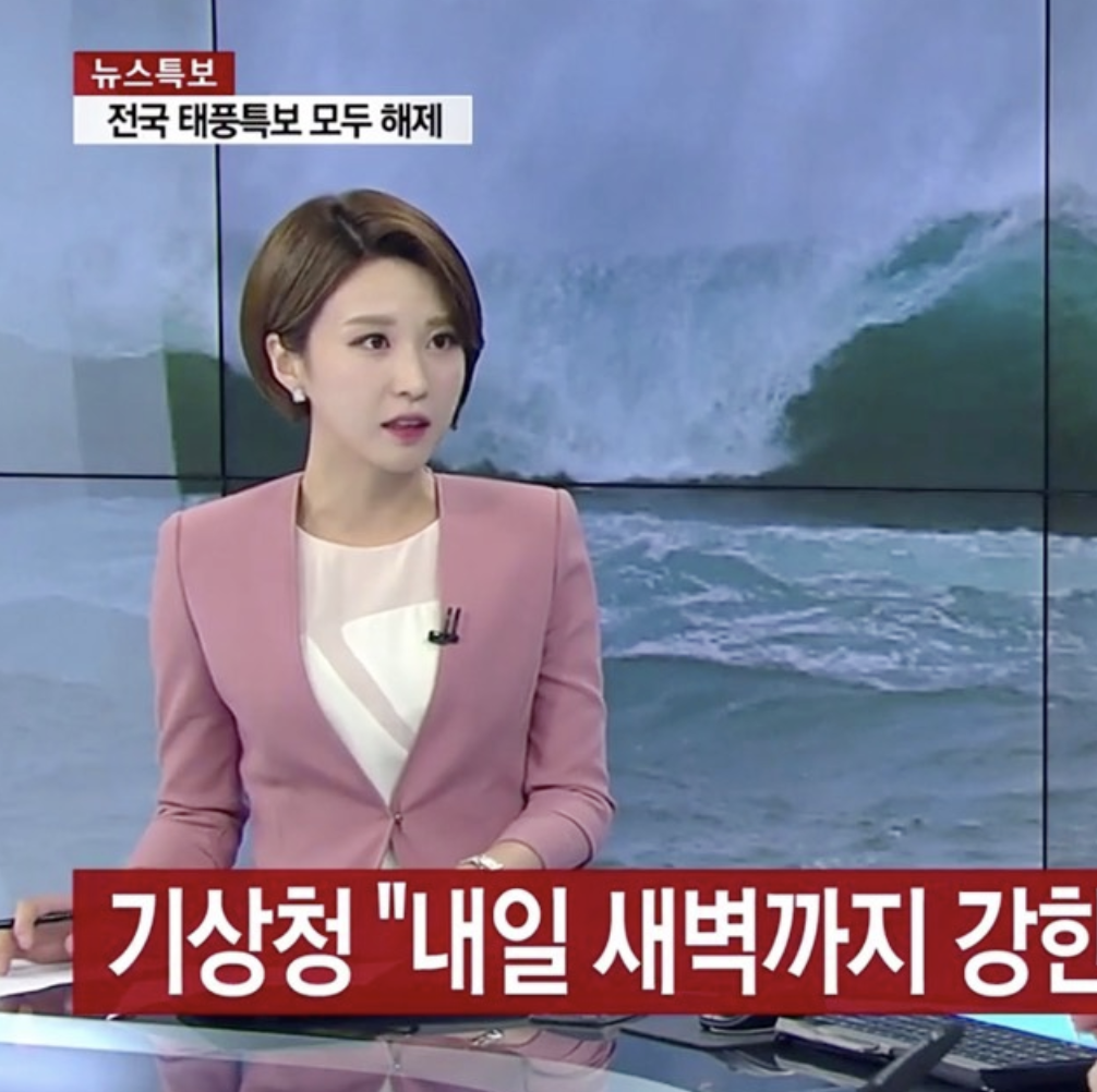 민주당 안귀령