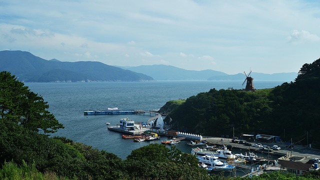 강진의 겨울 해풍으로 말린 갓잎 떡