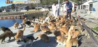 &amp;quot;일본
