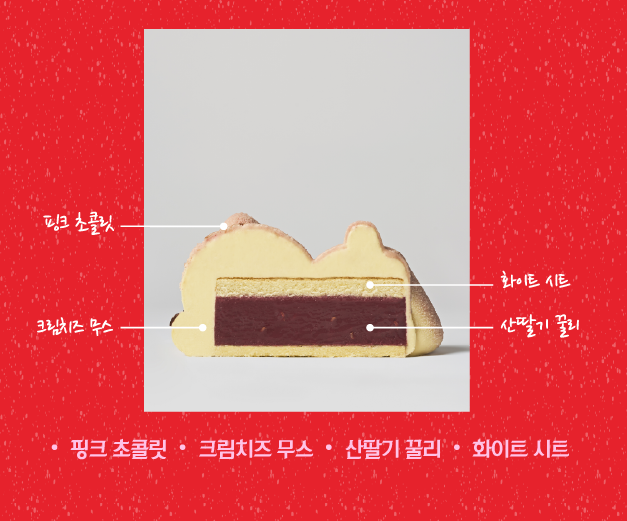 노티드 크리스마스 케이크 사전예약