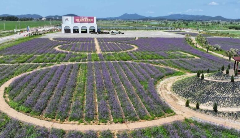 태안 가볼만한곳 베스트 10