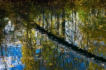 영화 가을의 전설 Legends of the Fall OST 중 James Horner The Ludlows 듣기MV로 소개_12