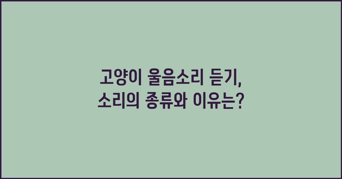 고양이 울음소리 듣기