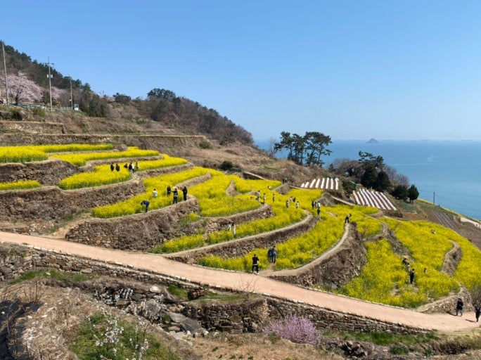 경남 남해 여행코스 추천 – 맛집, 축제, 힐링까지 완벽 정리 관련 사진
