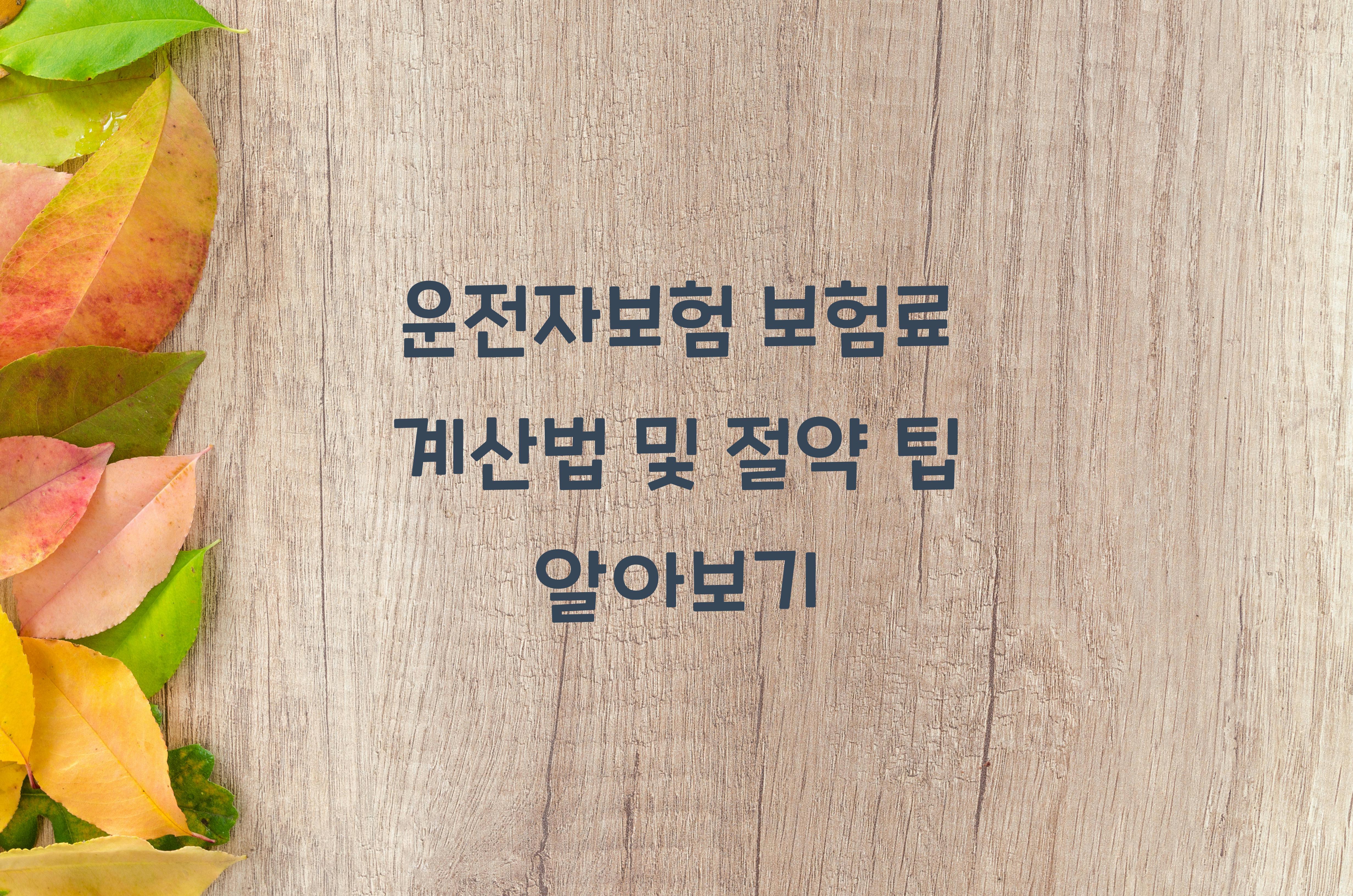 운전자보험 보험료 계산법