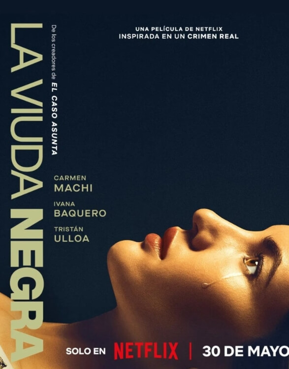 위도우 게임 포스터