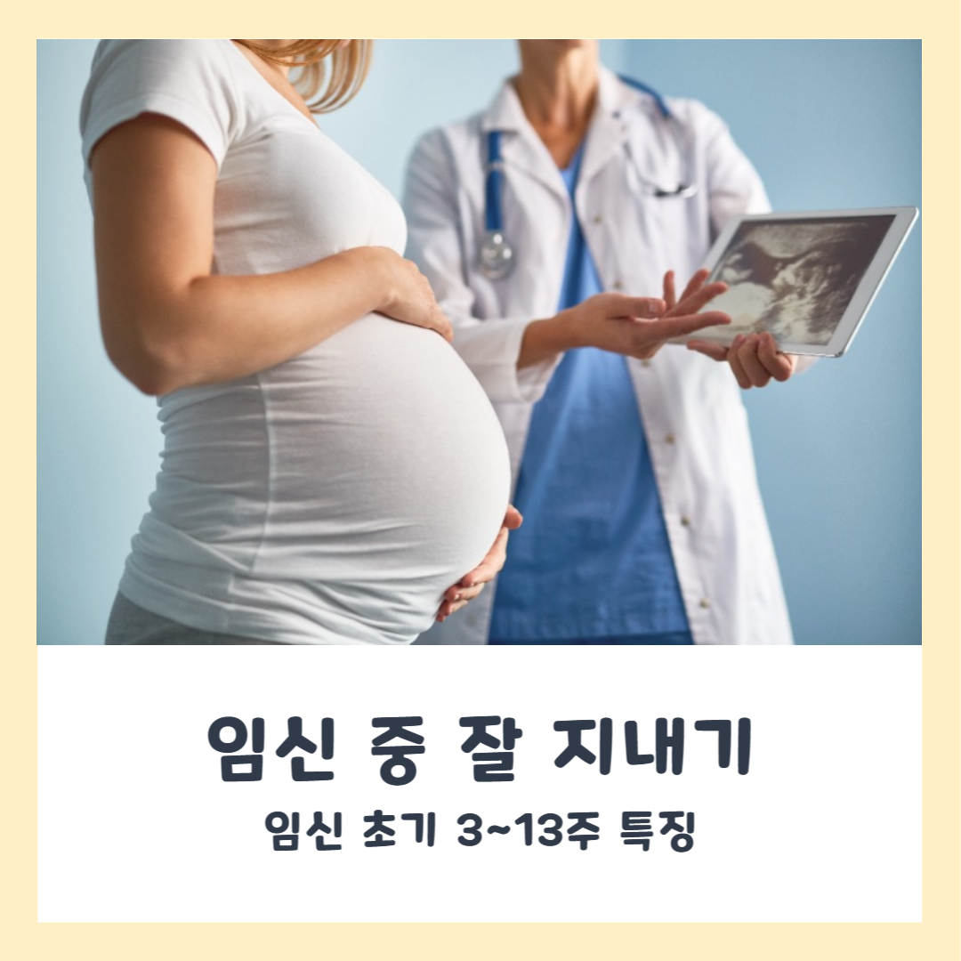 임신 초기 3~13주 특징, 증상, 생활 습관