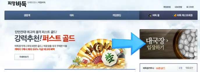 대국실입장