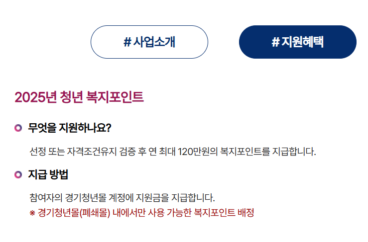 2025 경기도 청년복지포인트 2차&amp;#44; 한눈에 보기