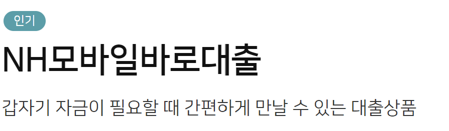 농협은행 생활안정자금 긴급생계자금 대출