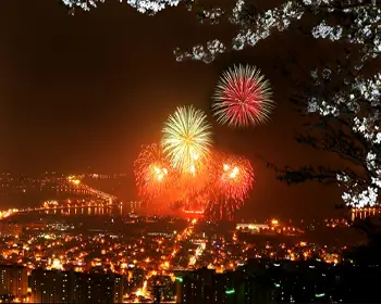 진해군항제_15