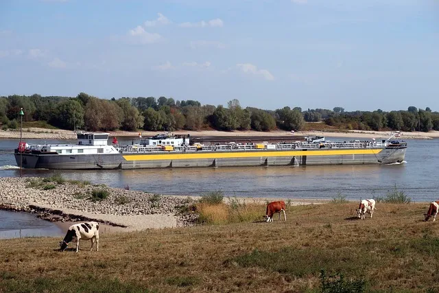 화물운송 자격증