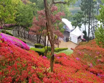 청남대_19