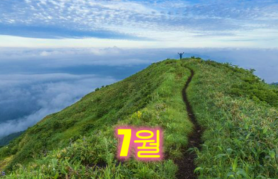 7월