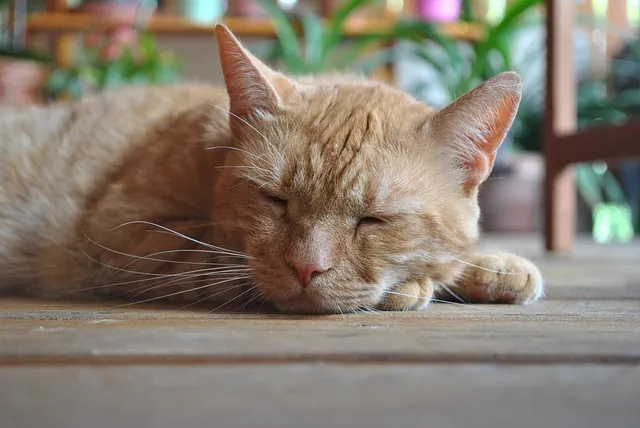 최신가요 인기 TOP100 무료듣기 매일 업데이트 음악 모음집_3