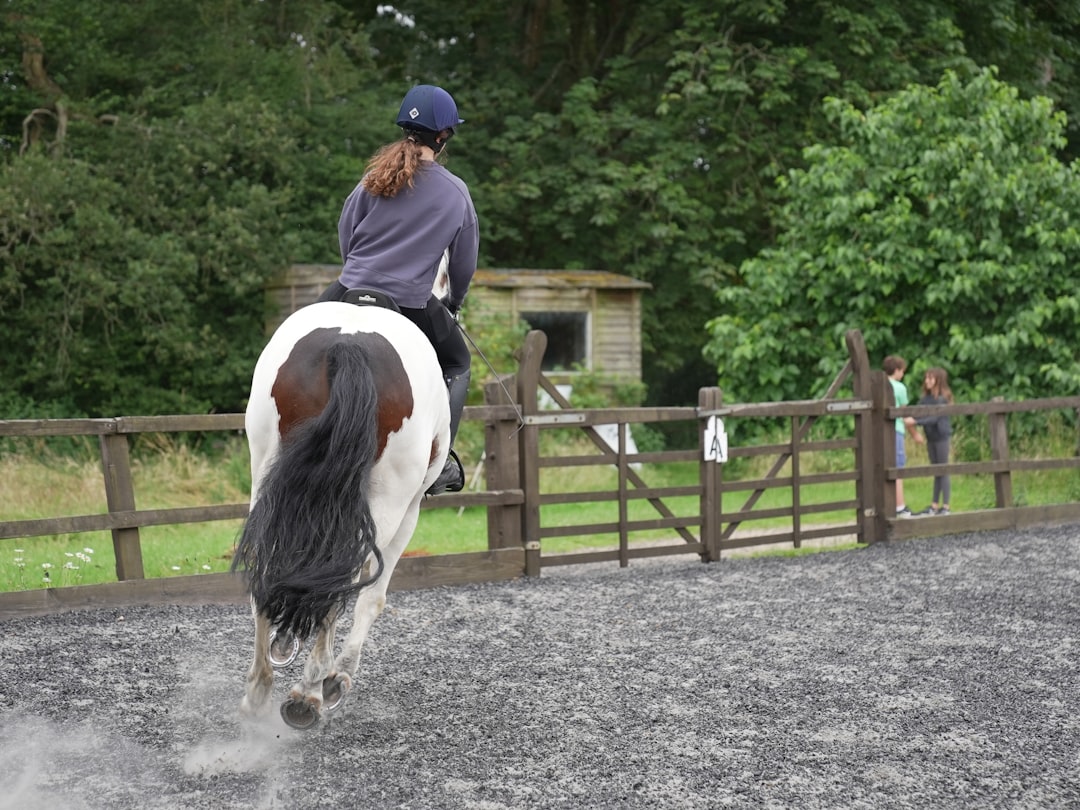 Trot