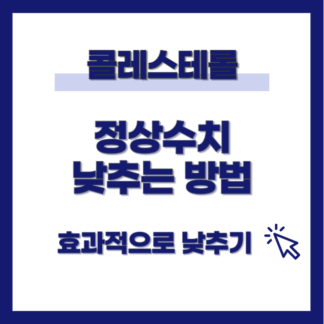 콜레스테롤 정상수치