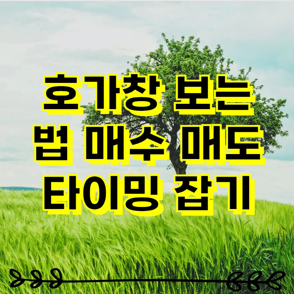 호가창 보는 법 매수 매도 타이밍 잡기