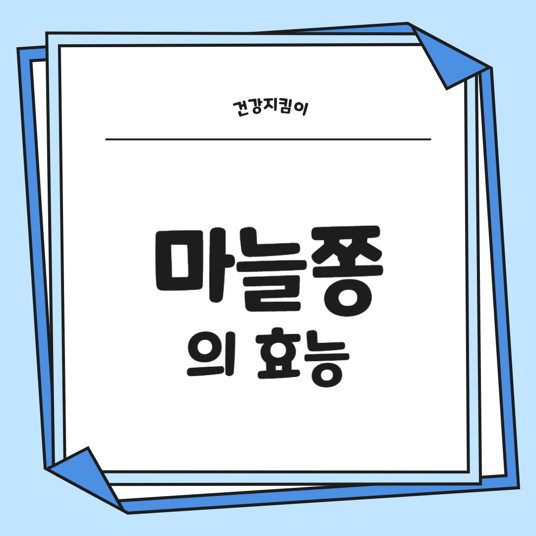 마늘쫑 효능 부작용 고르는법 칼로리