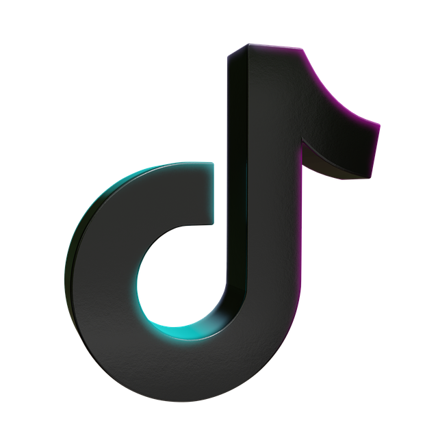 콘텐츠 크리에이터를 위한 글로벌 SNS 분석: 유튜브, 틱톡, 인스타그램