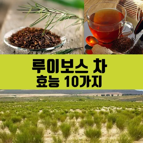 루이보스 차