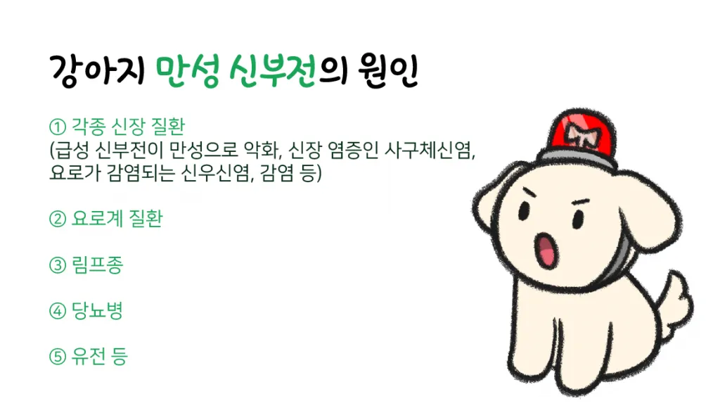 강아지 신부전에 좋은 음식 추천_7