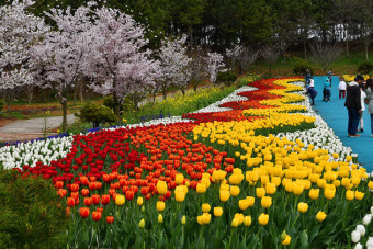 태안 코리아플라워파크